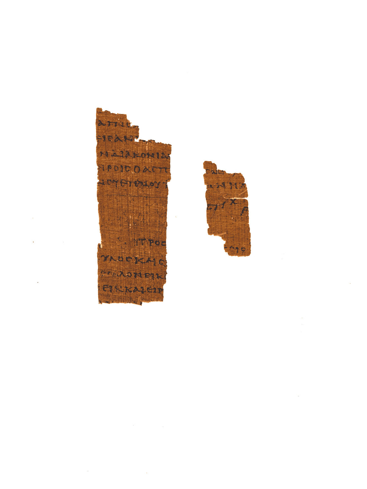 P46 COLOSSIANS | Replica • AD 225 | Pauline Epistles