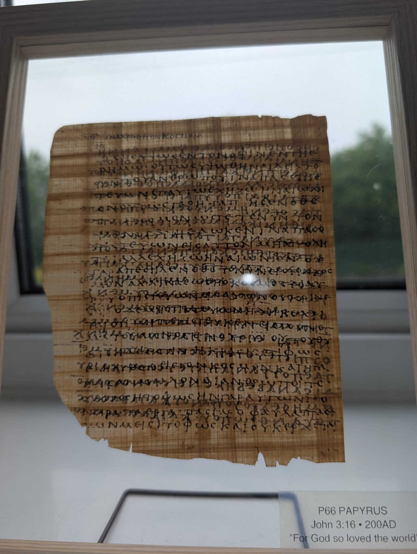 P66 John 3:16 | replica – Gospel of John | "For God so loved the world."