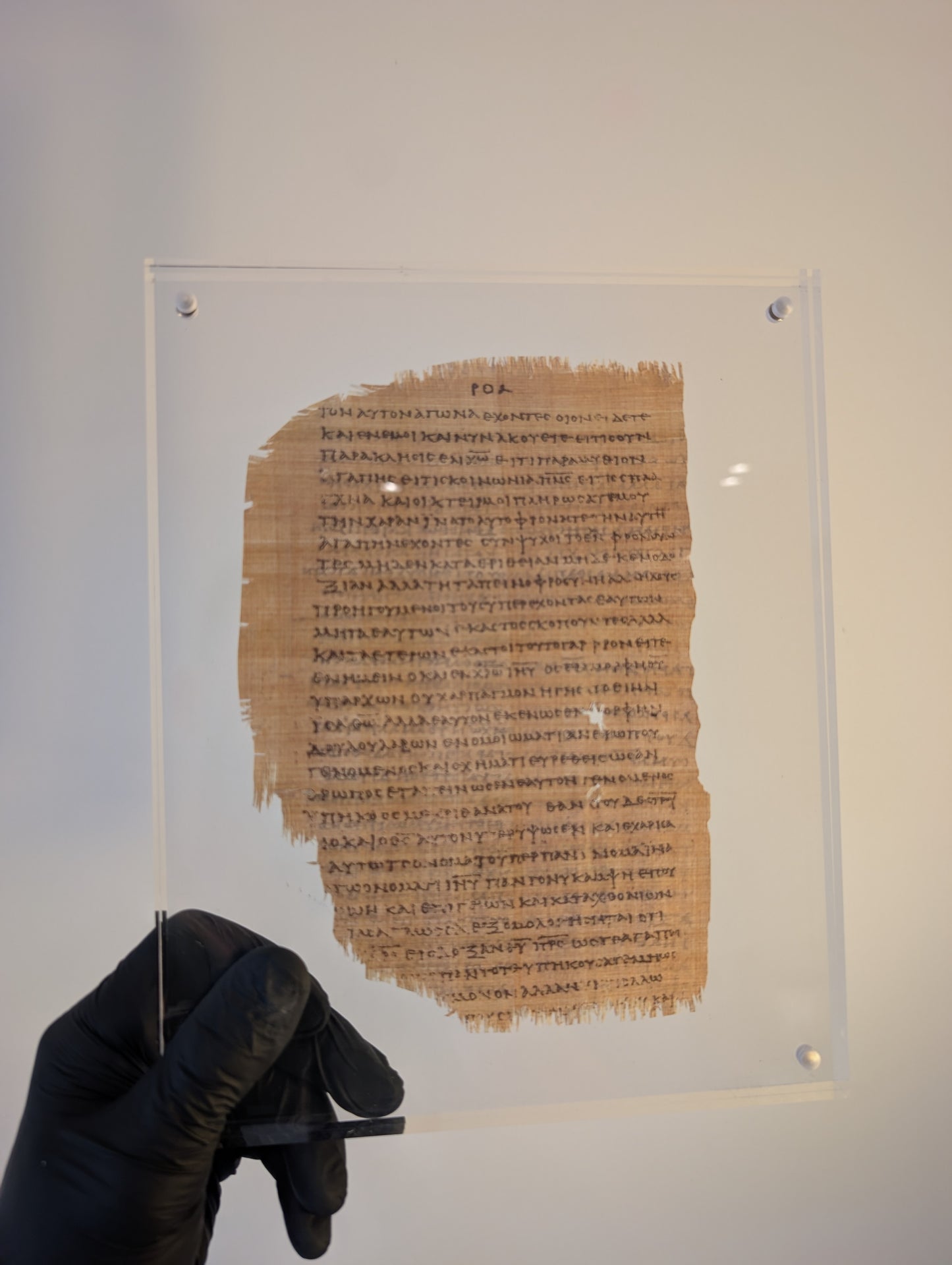 P46 HEBREWS | Replica • AD 225 Pauline Epistles