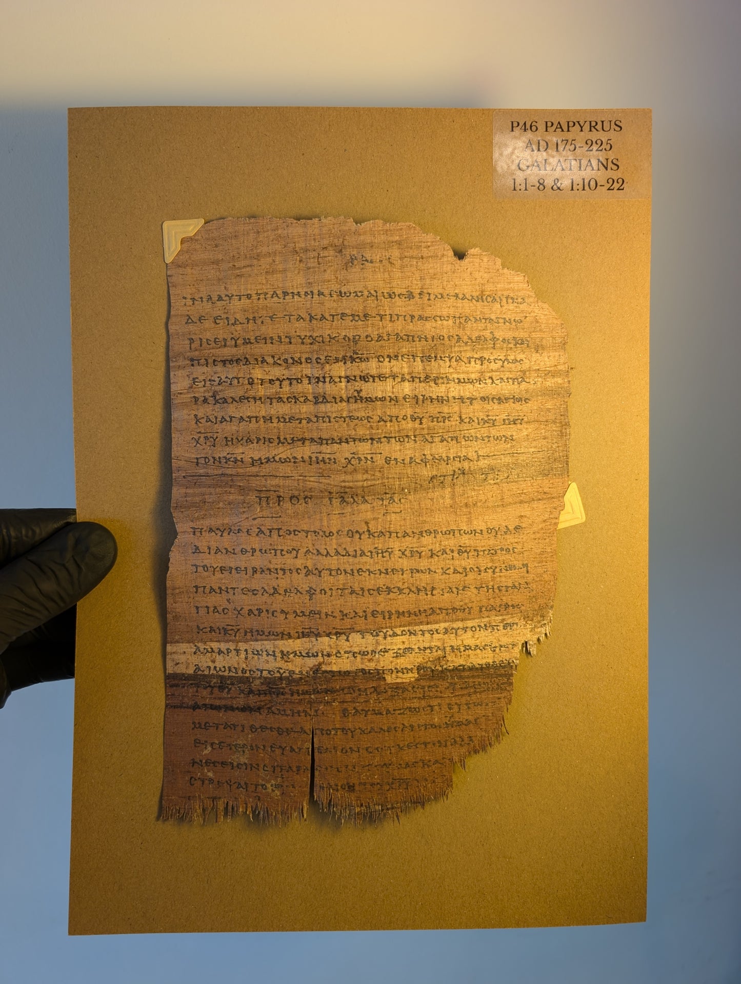 P46 COLOSSIANS | Replica •  AD 225 | Pauline Epistles