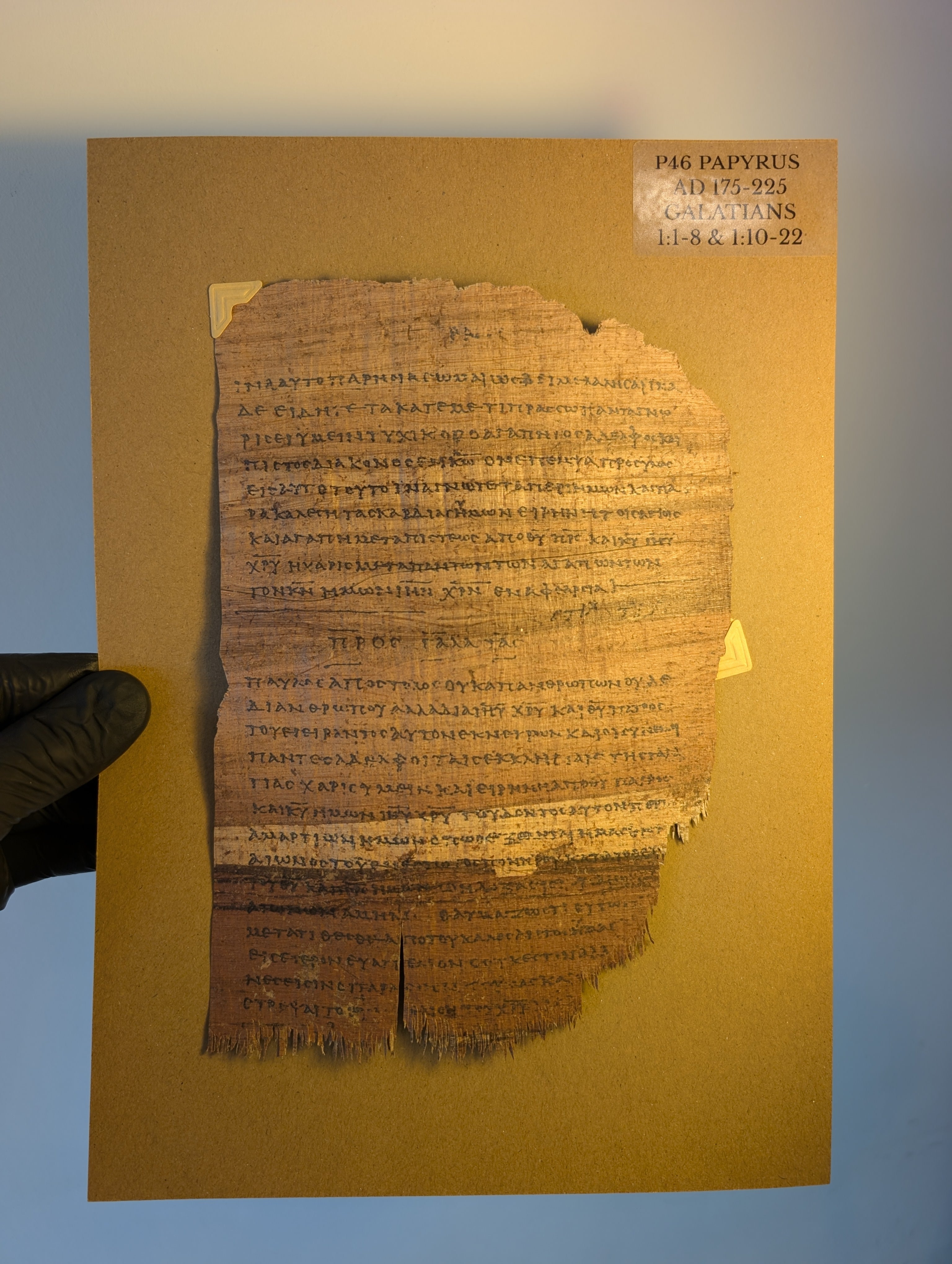 P46 COLOSSIANS | Replica •  AD 225 | Pauline Epistles
