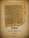 P66 Choose Your Own | Gospel of John Chapters 1:1-14:26 | Choose from 52 fragments.