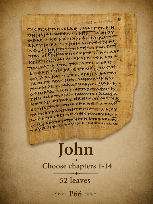 P66 Choose Your Own | Gospel of John Chapters 1:1-14:26 | Choose from 52 fragments.