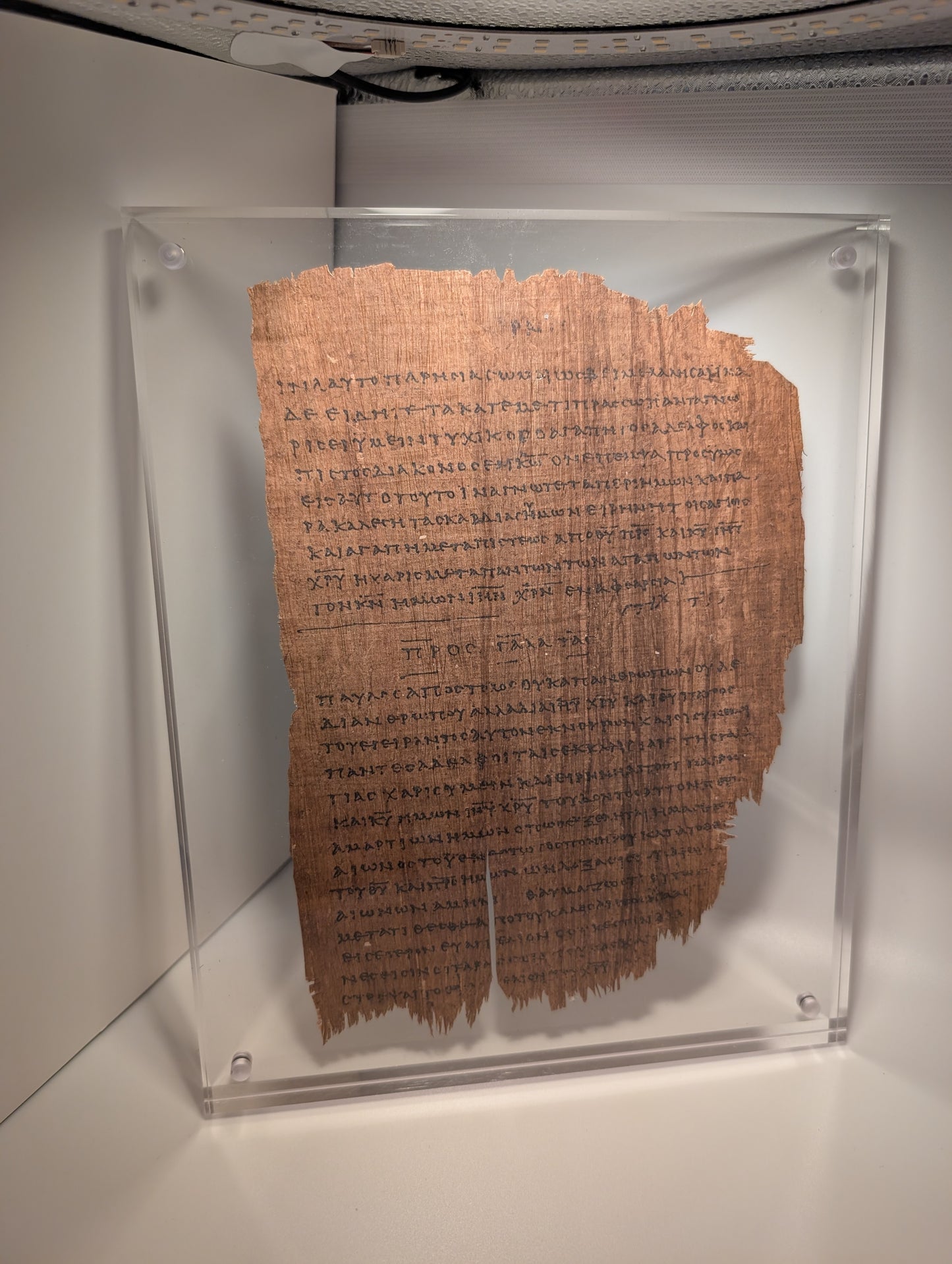 P46 GALATIANS | Replica • AD 225 Pauline Epistles Replica |