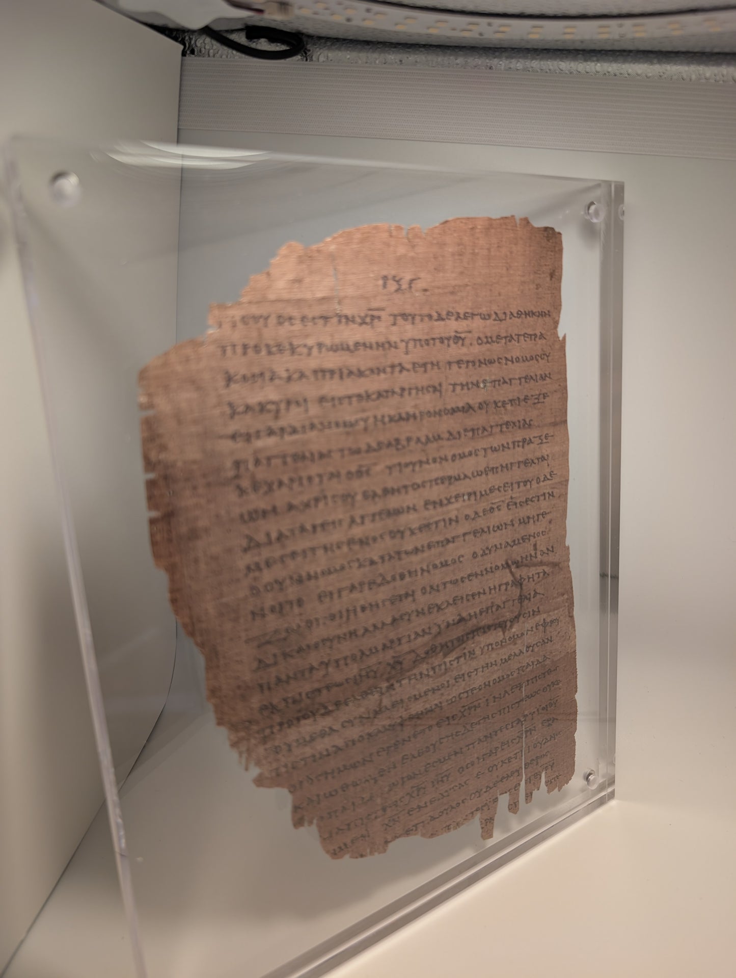 P46 GALATIANS | Replica • AD 225 Pauline Epistles Replica |